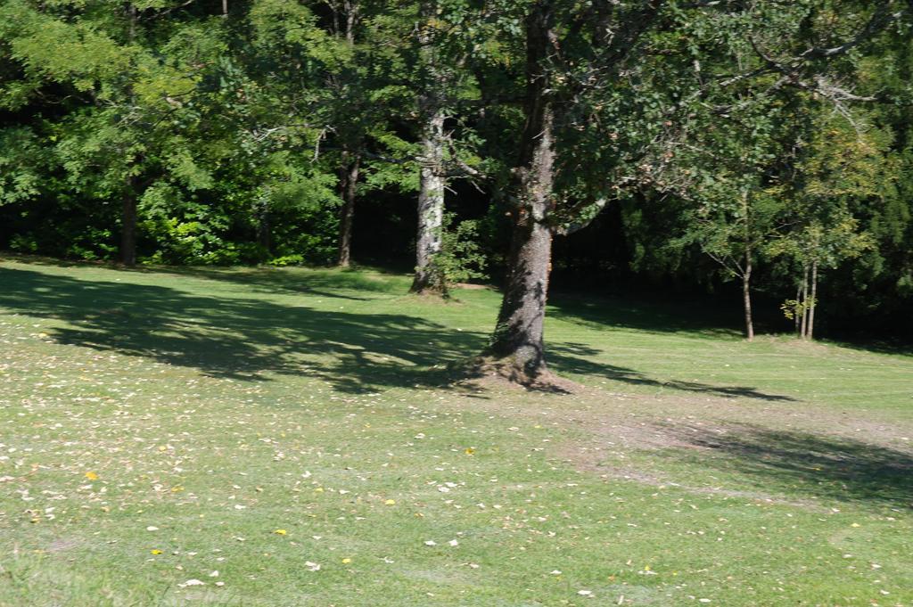 Saint-Séverin Le Chalet De Luxe Bed & Breakfast エクステリア 写真