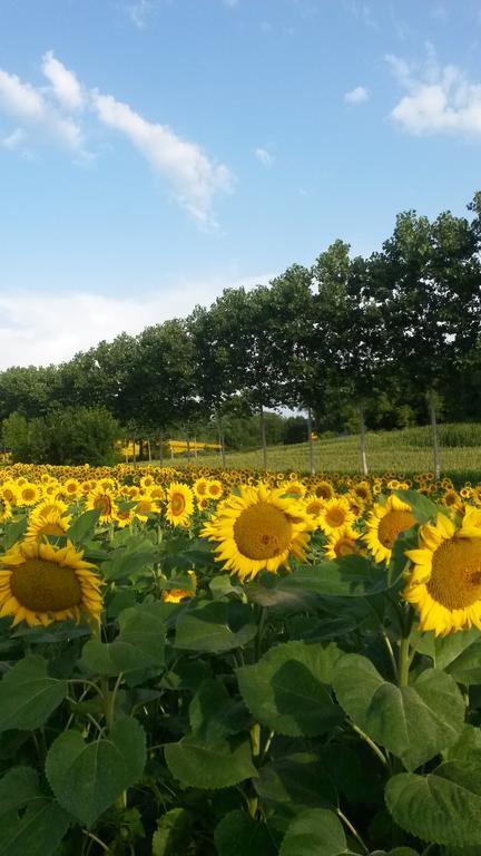 Saint-Séverin Le Chalet De Luxe Bed & Breakfast エクステリア 写真