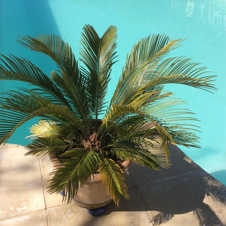 Saint-Séverin Le Chalet De Luxe Bed & Breakfast エクステリア 写真